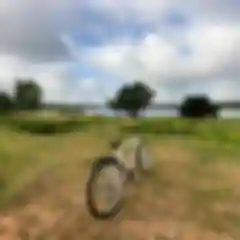 Bicycles Available on rent.